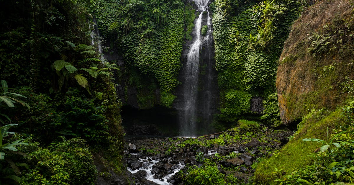 Vue sur le Hérisson et ses cascades